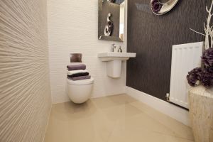 chestnut shadwell 11 sm.jpg